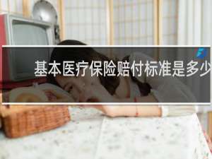 基本医疗保险赔付标准是多少