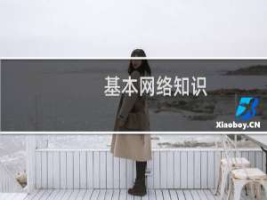 基本网络知识