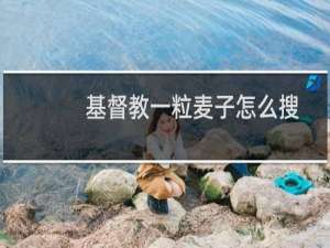 基督教一粒麦子怎么搜