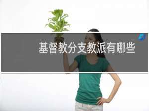 基督教分支教派有哪些