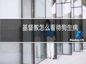 基督教怎么看待狗生病