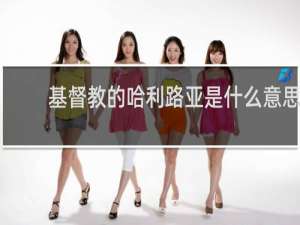 基督教的哈利路亚是什么意思