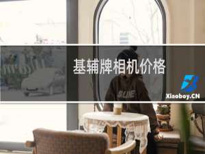 基辅牌相机价格