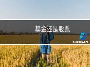 基金还是股票