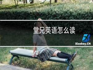 堂兄英语怎么读