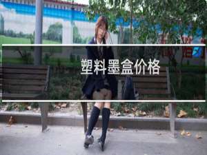 塑料墨盒价格
