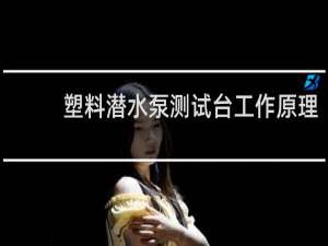 塑料潜水泵测试台工作原理