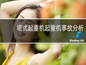 塔式起重机起重机事故分析