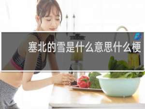 塞北的雪是什么意思什么梗