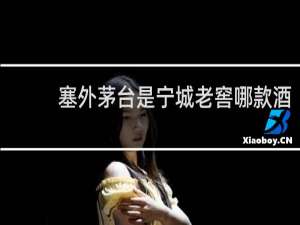 塞外茅台是宁城老窖哪款酒