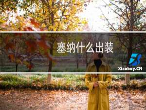 塞纳什么出装