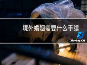 境外婚姻需要什么手续