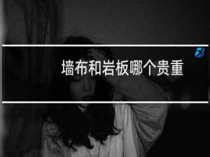 墙布和岩板哪个贵重