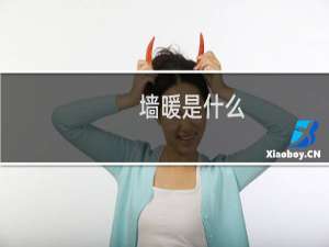 墙暖是什么