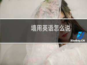 墙用英语怎么说