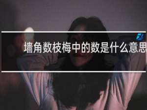 墙角数枝梅中的数是什么意思