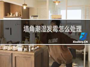 墙角潮湿发霉怎么处理