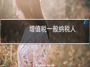 增值税一般纳税人
