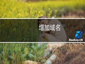 增加域名，服务器容量问题