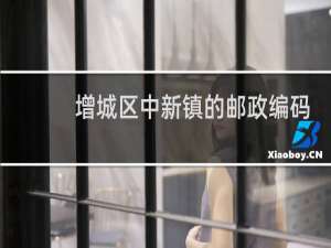 增城区中新镇的邮政编码是多少