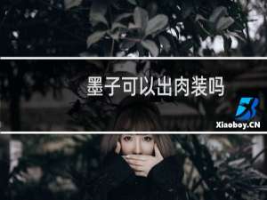 墨子可以出肉装吗