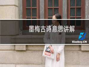 墨梅古诗意思讲解（墨梅古诗意思）