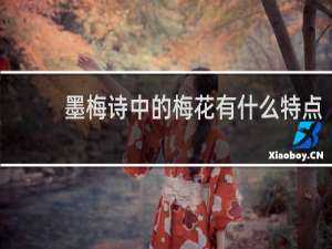 墨梅诗中的梅花有什么特点
