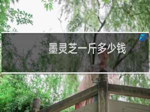 墨灵芝一斤多少钱