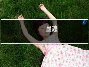 墨魂：墨魂新手七日计划合集