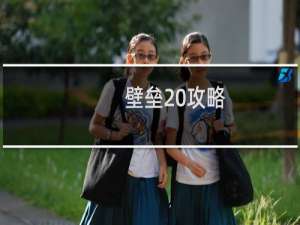 壁垒 攻略