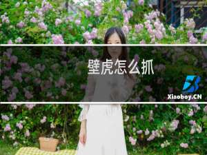 壁虎怎么抓