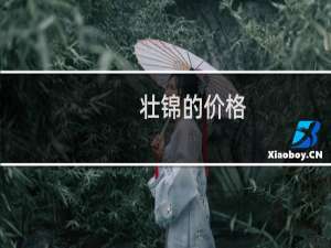 壮锦的价格