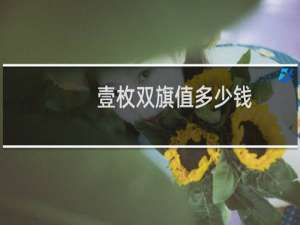 壹枚双旗值多少钱