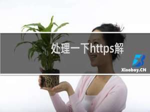 处理一下https解析的问题