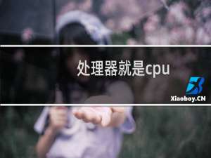 处理器就是cpu