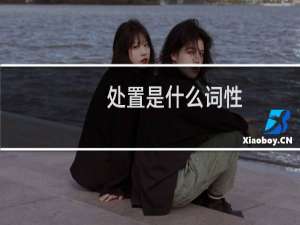 处置是什么词性（处置是什么意思）