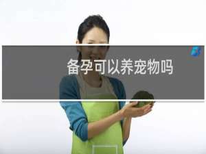 备孕可以养宠物吗