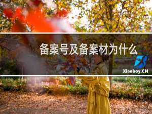 备案号及备案材为什么都没有了