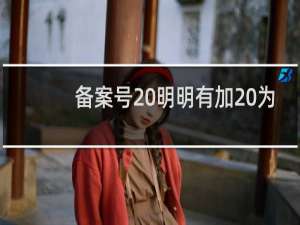 备案号 明明有加 为什么还说没加 不知道怎么处理