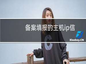 备案填报的主机ip信息不一致问题