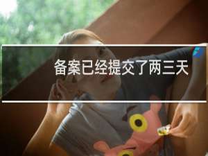 备案已经提交了两三天了   还未审核