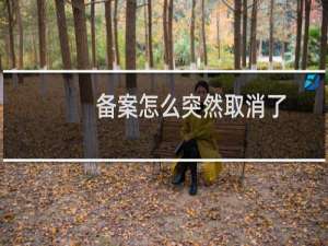 备案怎么突然取消了？-备案平台