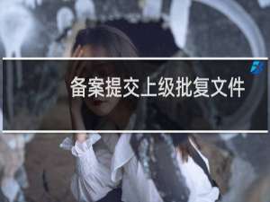 备案提交上级批复文件-备案平台