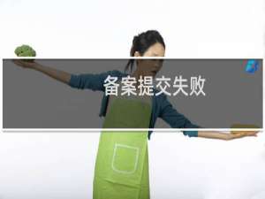 备案提交失败，显示空壳是什么意思，要怎么操作