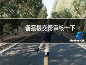 备案提交帮审核一下，谢谢领导。