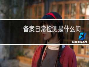 备案日常检测是什么问题-备案平台