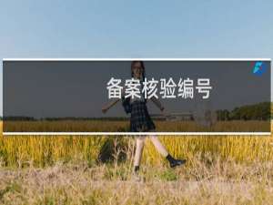 备案核验编号:,承诺函太多，没有传的地方。