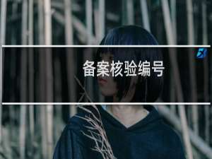 备案核验编号:信息如何修改