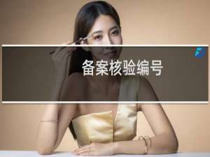 备案核验编号: 撤回一下