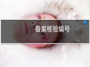 备案核验编号: 营业执照提交了
